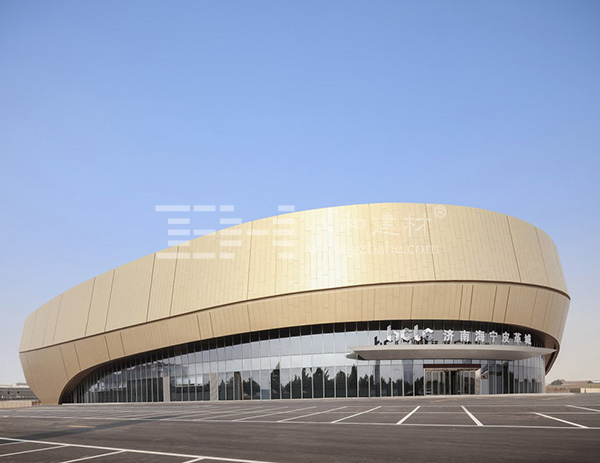 濟(jì)南海寧皮革城-金屬幕墻 濟(jì)南海寧皮革城-金屬幕墻