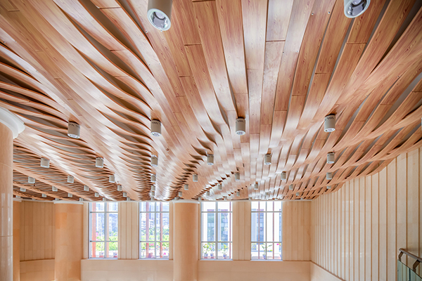 20180225003.jpg 20180225003.jpg